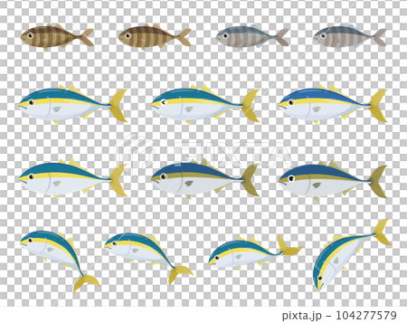 かわいいブリのイラスト素材セット 104277579