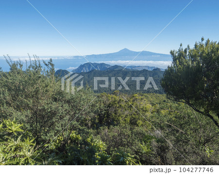 View on Tenerife island and Pico del Teide over forest and hills of Garajonay National Park seen from peak of Alto de at Garajonay mountain. White clouds and blue sky above. La Gomera, Canary Islands. View on Tenerife island and Pico del Teide over forest and hills of Garajonay National Park seen from peak of Alto de at Garajonay mountain. White clouds and blue sky above. La Gomera, Canary Islands. 104277746
