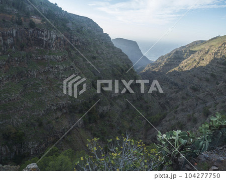 View of green valley with palm trees, cacti and sharp cliffs of La Merica mountain. Seen from Camino La Merica hiking trail. Arure, Valle Gran Rey , La Gomera, Canary Islands, Spain. 104277750