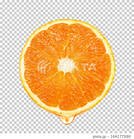 オレンジのイラスト リアル 104277880