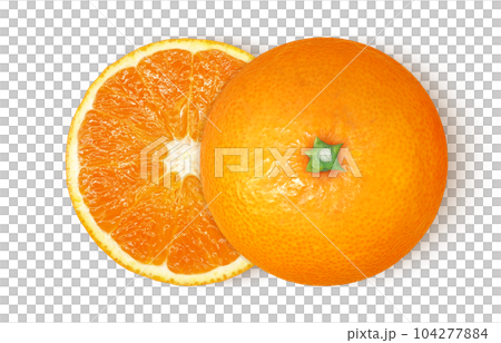 オレンジのイラスト リアル オレンジのイラスト リアル 104277884