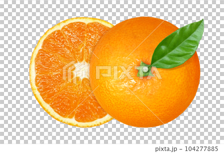 Orange illustration real 104277885