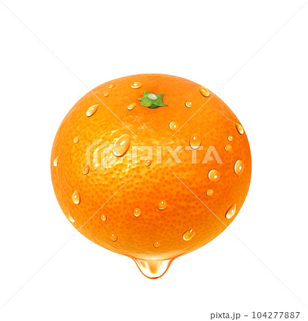 オレンジのイラスト リアル 104277887