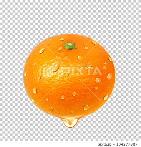 オレンジのイラスト リアル 104277887