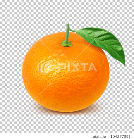 Orange illustration real 104277891