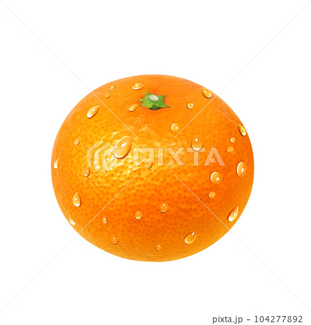 オレンジのイラスト リアル 104277892