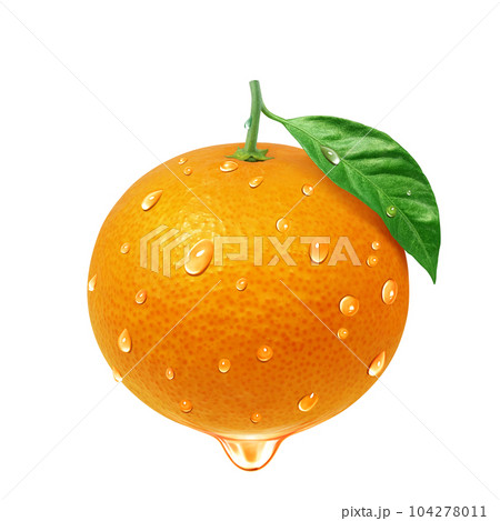 オレンジのイラスト リアル 104278011