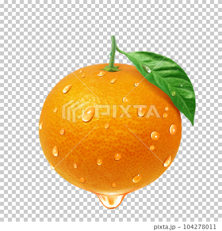 オレンジのイラスト リアル 104278011