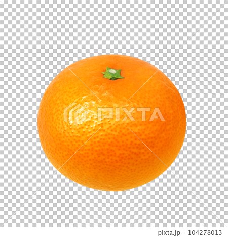 橙色插畫現實 104278013