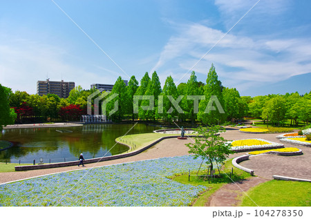 七北田公園(宮城県仙台市) 七北田公園(宮城県仙台市) 104278350