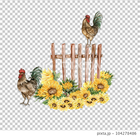 Watercolor composition of cock and truck. Hand drawn rooster, artistic painting illustration of fowl. Watercolor illustration of hen. Perfect for wedding invitation, greetings card, posters. 104278486