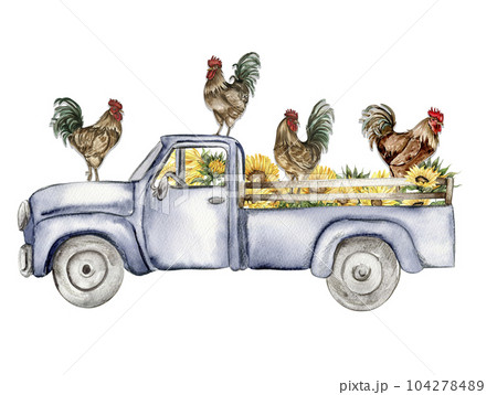 Watercolor composition of cock and truck. Hand drawn rooster, artistic painting illustration of fowl. Watercolor illustration of hen. Perfect for wedding invitation, greetings card, posters. 104278489