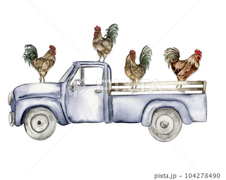Watercolor composition of cock and truck. Hand drawn rooster, artistic painting illustration of fowl. Watercolor illustration of hen. Perfect for wedding invitation, greetings card, posters. 104278490
