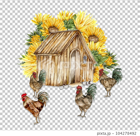 Watercolor composition of cock and truck. Hand drawn rooster, artistic painting illustration of fowl. Watercolor illustration of hen. Perfect for wedding invitation, greetings card, posters. 104278492