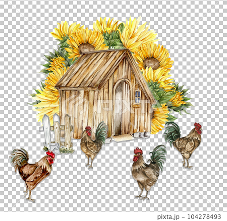 Watercolor composition of cock and truck. Hand drawn rooster, artistic painting illustration of fowl. Watercolor illustration of hen. Perfect for wedding invitation, greetings card, posters. 104278493