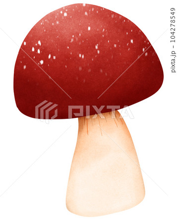 Cute red mushroom 104278549