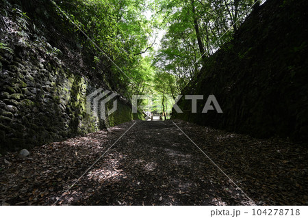 旧福知山線の各トンネルの様子　 104278718