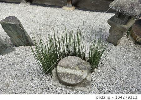 瑞峯院 坪庭 大徳寺 瑞峯院 坪庭 大徳寺 104279313