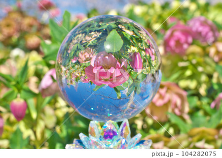 【草津市立 水生植物公園 みずの森 (水晶玉)】 滋賀県草津市下物町 【草津市立 水生植物公園 みずの森 (水晶玉)】 滋賀県草津市下物町 104282075