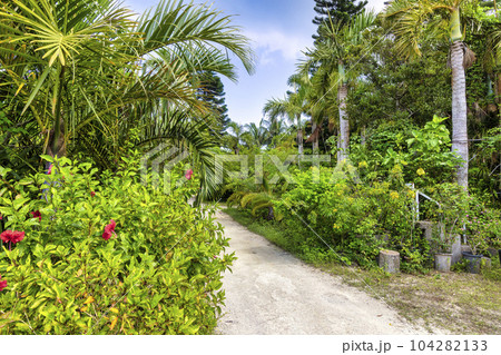 由布島 (10月 西表島 晴れ) 由布島 (10月 西表島 晴れ) 104282133