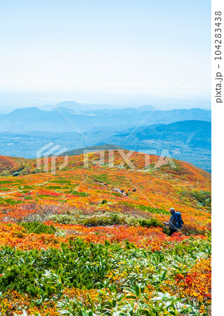 秋の栗駒山登山（中央コース）：神の絨毯 104283438