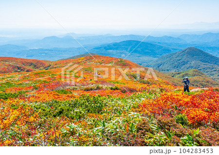 秋の栗駒山登山(中央コース):神の絨毯 秋の栗駒山登山(中央コース):神の絨毯 104283453