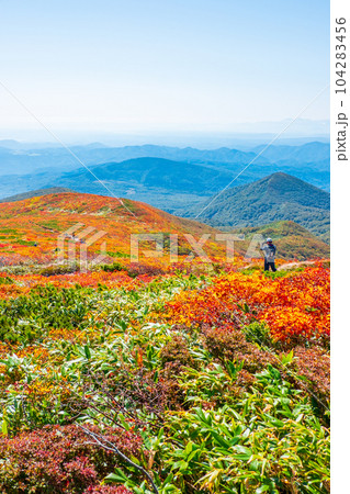 秋の栗駒山登山(中央コース):神の絨毯 秋の栗駒山登山(中央コース):神の絨毯 104283456