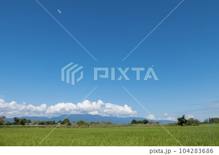 青空の田舎の風景 青空の田舎の風景 104283686
