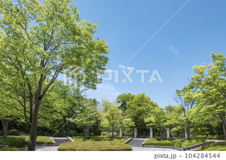 快晴で気持ちいい公園の風景　滋賀県大津市びわこ文化公園 104284544
