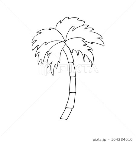 Hand drawn palm tree Hand drawn palm tree 104284610