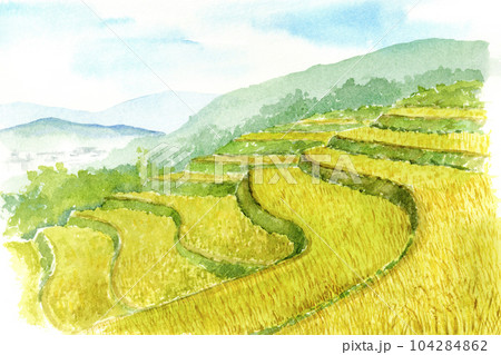 4,129 Rice Field Drawing Images, Stock Photos, 3D Objects,, 60% OFF