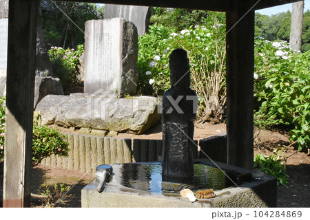 千葉県香取郡多古町 日本寺の紫陽花と観音様 千葉県香取郡多古町 日本寺の紫陽花と観音様 104284869