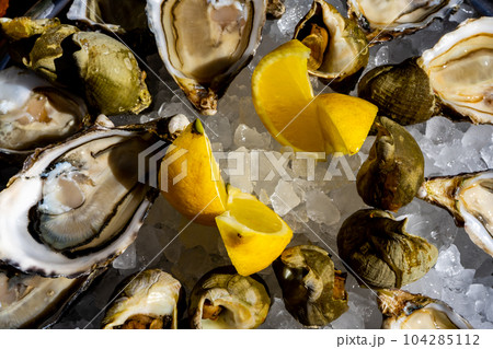 Fresh oysters and whelk platter with lemon on the ice. Fresh oysters and whelk platter with lemon on the ice. 104285112