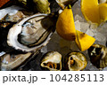 Fresh oysters and whelk platter with lemon on the ice. 104285113