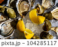 Fresh oysters and whelk platter with lemon on the ice. 104285117