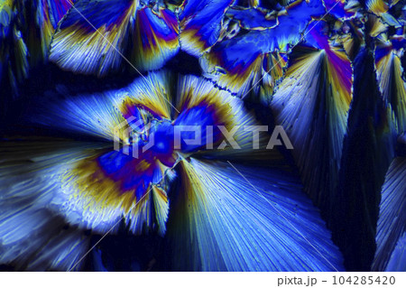 結晶　味の素 104285420