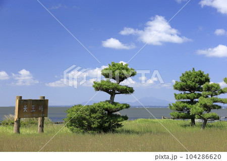 青空の下、霞ヶ浦湖畔の天王崎公園から望む筑波山 104286620