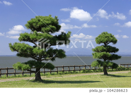 青空の下、霞ヶ浦湖畔の天王崎公園から望む筑波山 104286623
