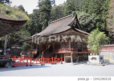 日吉大社西本宮本殿 国宝 比叡山山麓の町坂本 滋賀県 日吉大社西本宮本殿 国宝 比叡山山麓の町坂本 滋賀県 104286816