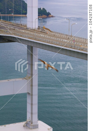 広島大崎上島からフェリーで大三島としまなみ海道で今治の馬島へ梅雨と初夏の合間のこと 104287108