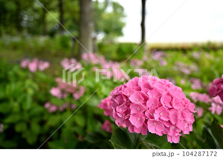 もりやま芦刈園 もりやま芦刈園 104287172