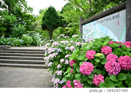 もりやま芦刈園 104287190