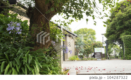 神奈川県藤沢市(鎌倉市?)の名勝の江の島の梅雨 神奈川県藤沢市(鎌倉市?)の名勝の江の島の梅雨 104287322