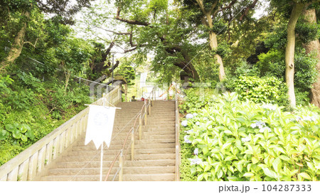 神奈川県藤沢市（鎌倉市？）の名勝の江の島の梅雨 104287333