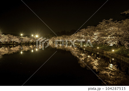 満開の桜が美しい弘前城ライトアップ 104287515