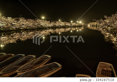 満開の桜が美しい弘前城ライトアップ 104287518