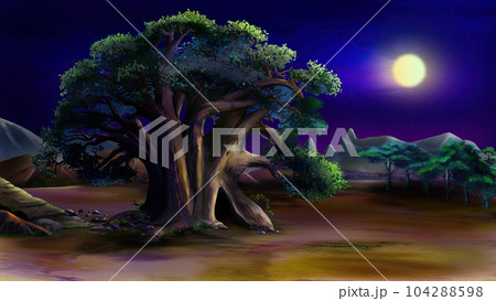 Big green tree in the African savannah at night 104288598