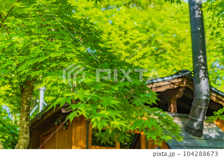 ログハウス イメージ素材 ログハウス イメージ素材 104288673