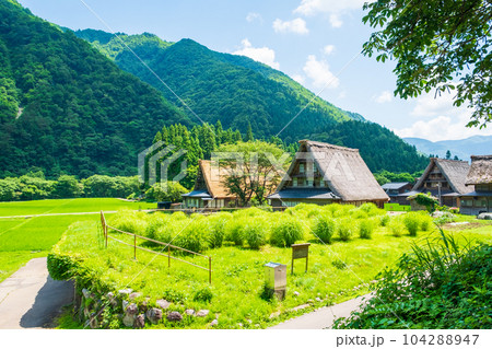 五箇山・菅沼合掌造り集落（夏） 104288947
