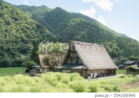 五箇山・菅沼合掌造り集落（夏） 104288966